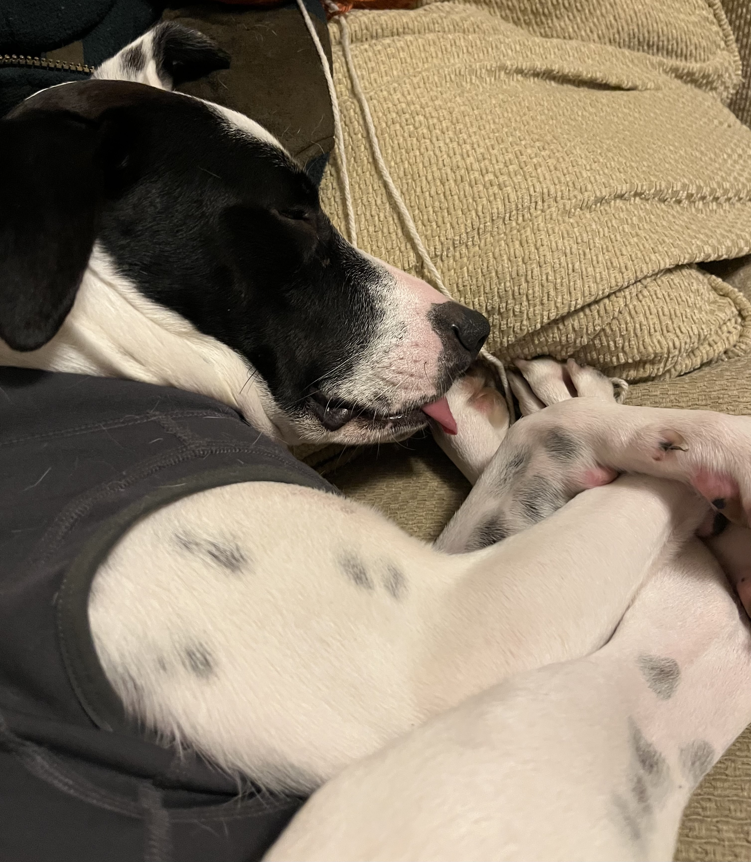 Sleepy Casper